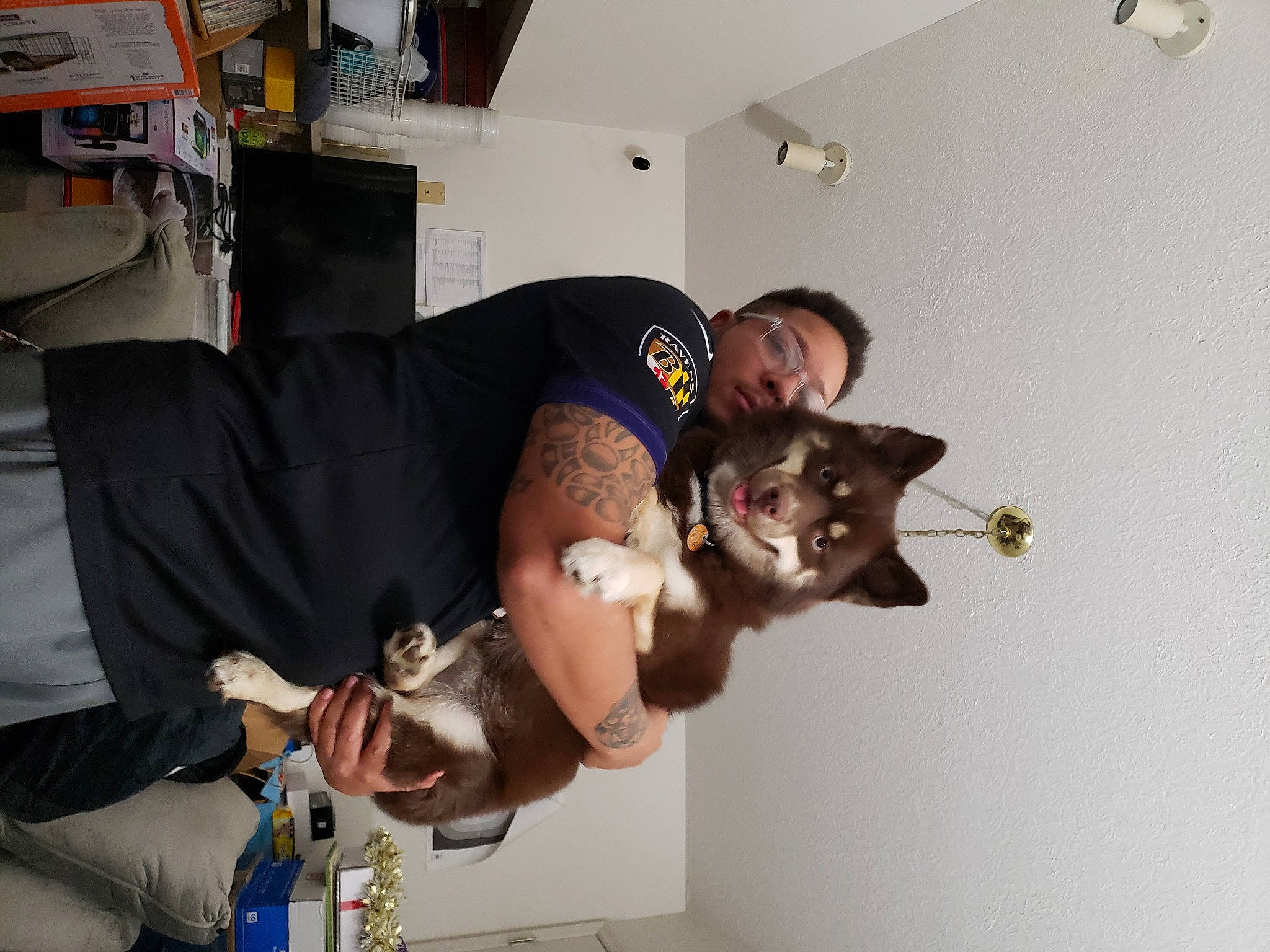 Mocha Haynie joined the competition — help win amazing prizes! arm, carnivore, companion_dog, dog_breed, elbow, eyewear, felidae, flooring, fun, happy, knee, room, shorts, t_shirt, thigh