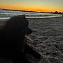 dog, beach, sunset, sand, ocean, sea, sky, seagull, silhouette, sun, water, nature, animal, outdoor, horizon, calm, relaxation, twilight, coast, scenery