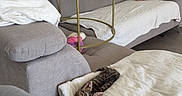 Ace participe au concours pour gagner de l'argent avec cette photo : blanket, cat, couch, cozy, floor_lamp, furniture, glass_table, gray_sofa, home_decor, indoor, kitten, living_room, minimalistic, pet, plush_toy, relaxing, sofa, tabby_cat, table, teddy_bear