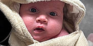 Hallie is registered to the contest to win money with this photo: baby, towel, face, child, infant, wrapped, hooded_towel, cute, indoors, crib, soft_texture, person, portrait, skin, hand, expression, newborn, blanket, cozy, closeup