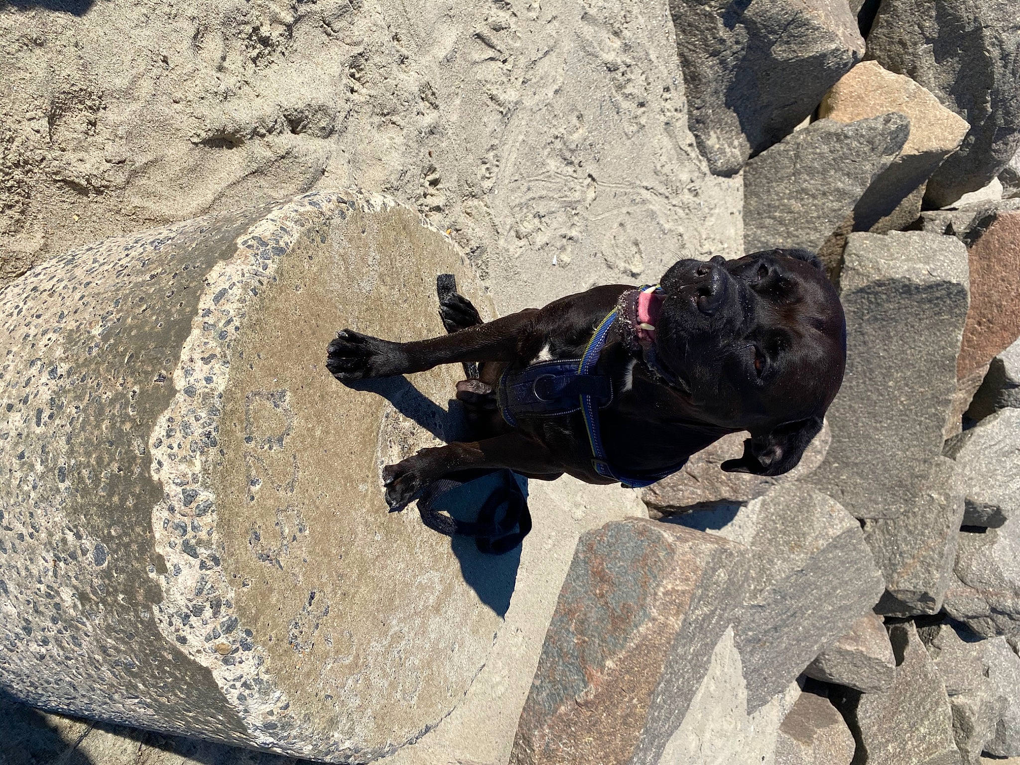 Rocky is registered to the contest to win money with this photo: adventure, recreation, rock