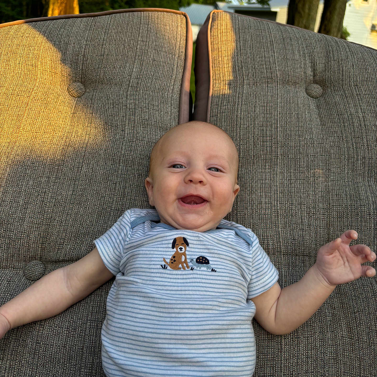 Maddox is registered to the contest to win money with this photo: baby, baby_girl, blue_pants, clothing, cushion, drool, happy, infant, nature, outdoor, person, portrait, puppy_design, relaxing, seat, smiling, striped_shirt, sunlight, tree, turtle_design