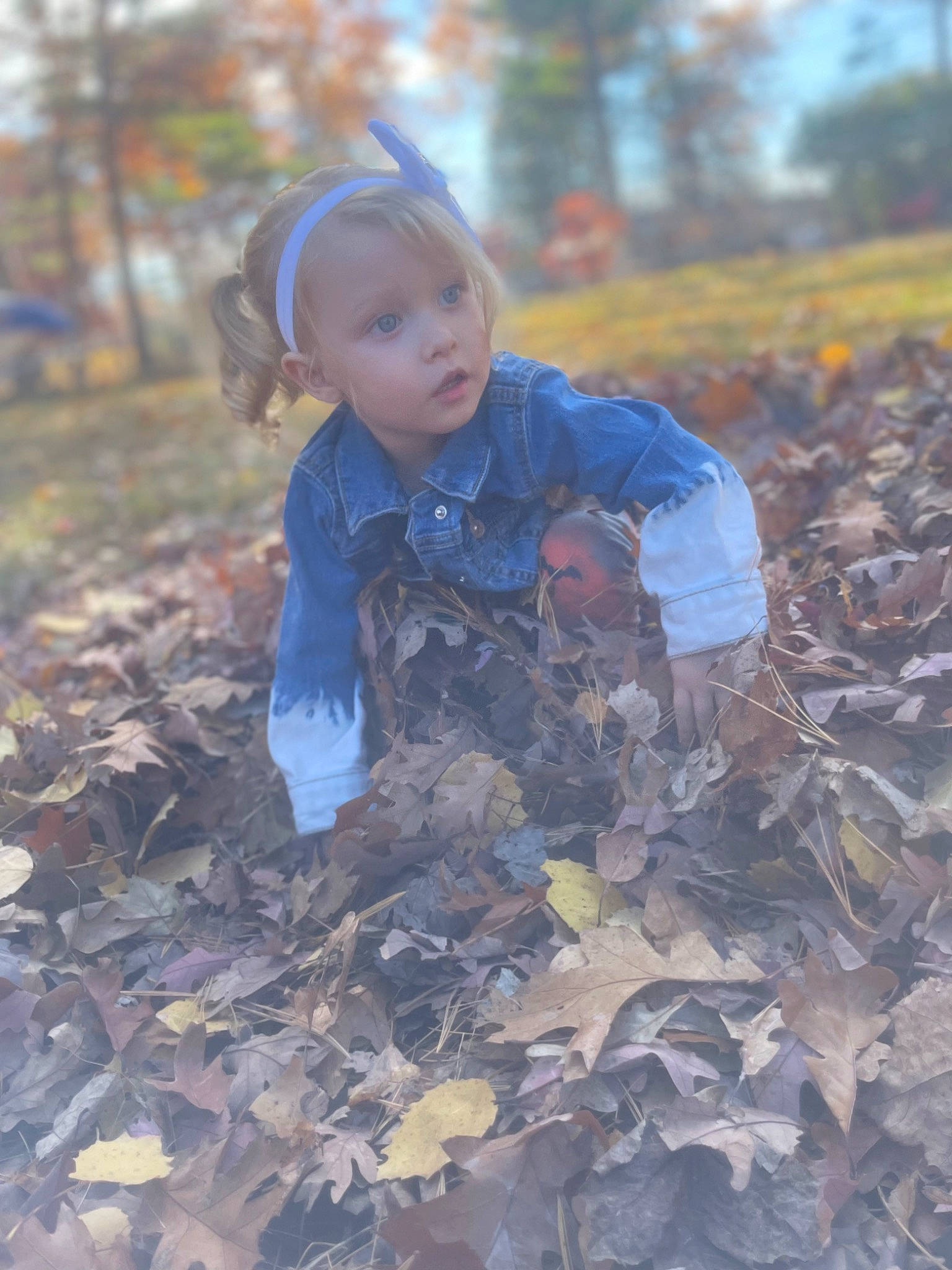 Tina is registered to the contest to win money with this photo: autumn, child, deciduous, face, forest, grass, landscape, military_camouflage, people_in_nature, person, plant, portrait_photography, recreation, rock, soil, toddler, tree, winter, wood, woodland