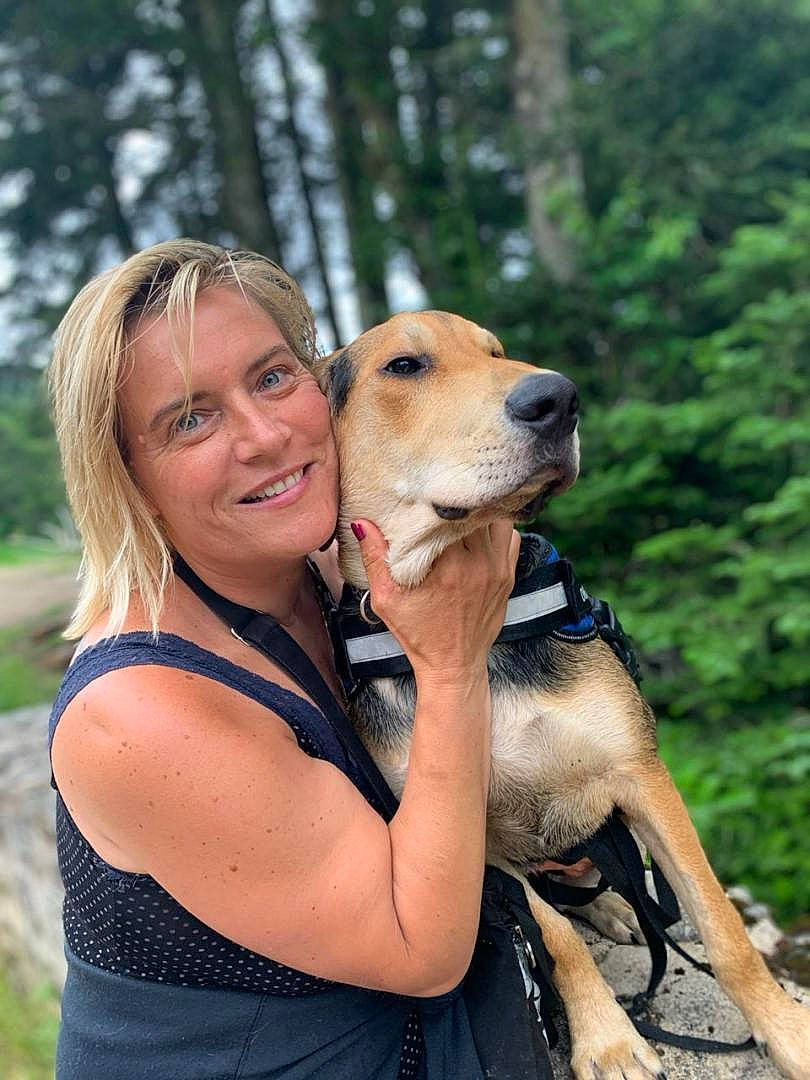 Roucky a rejoint le concours — aidez-le/la à gagner de superbes lots ! broholmer, canidae, carnivore, companion_dog, dog, dog_breed, fawn, hunting_dog, mammal, puppy_love, snout, sporting_group, vertebrate