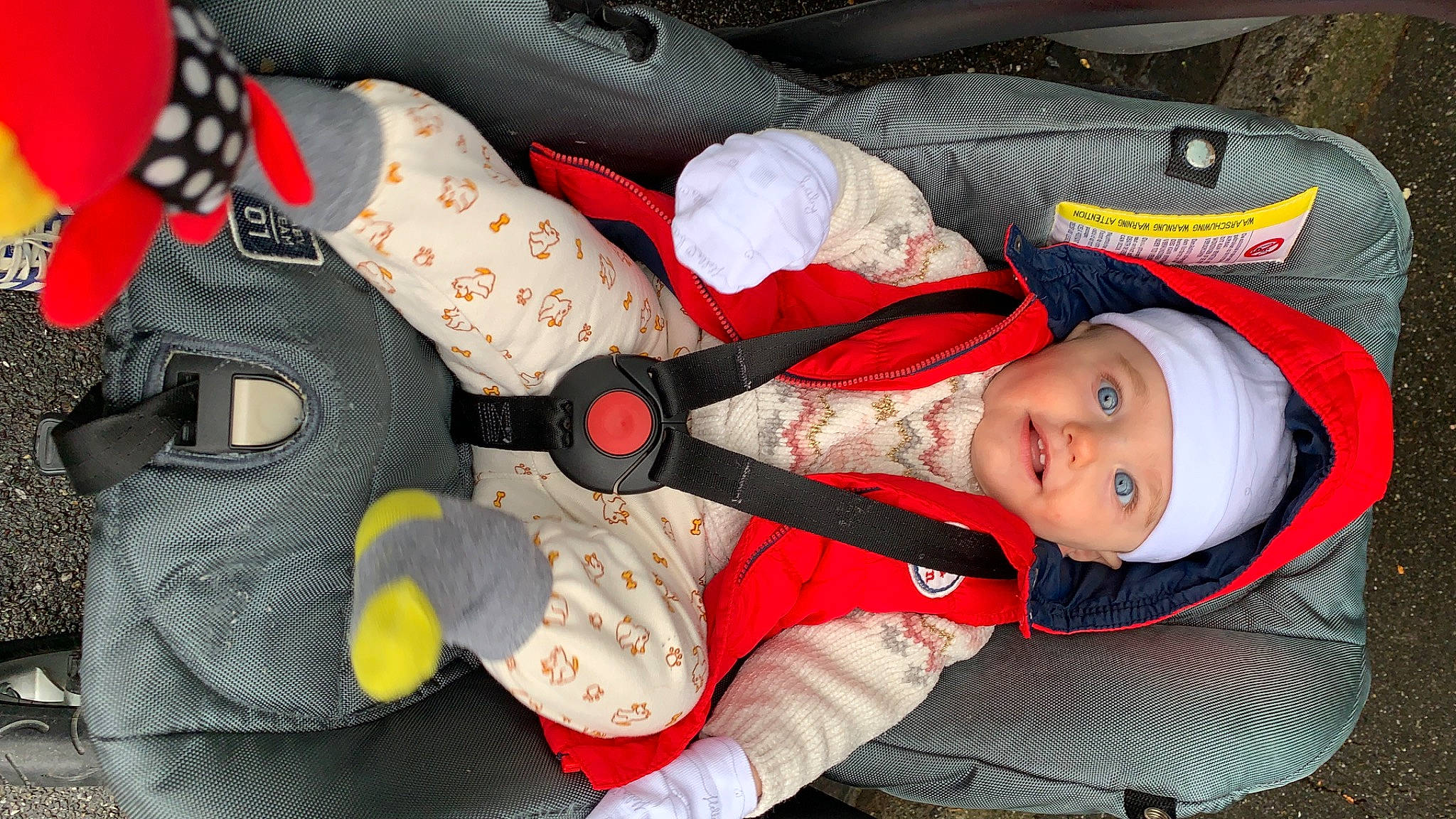 Léo participe au concours pour gagner de l'argent avec cette photo : baby, baby_carriage, baby_products, baby_sleeping, baby_toddler_clothing, carmine, child, comfort, fictional_character, hat, headgear, headwear, human_body, lap, pattern, person, personal_protective_equipment, sleeve, smile, sock