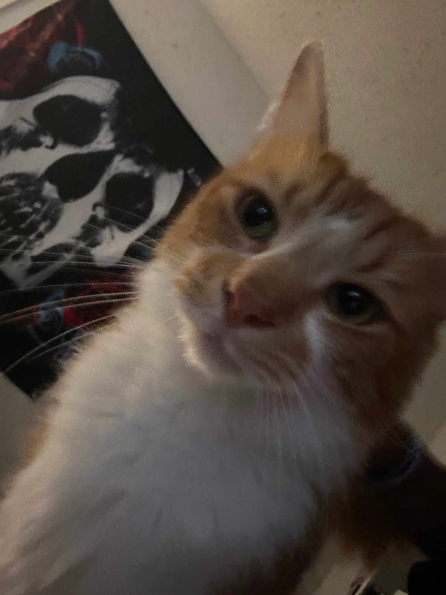Apollo