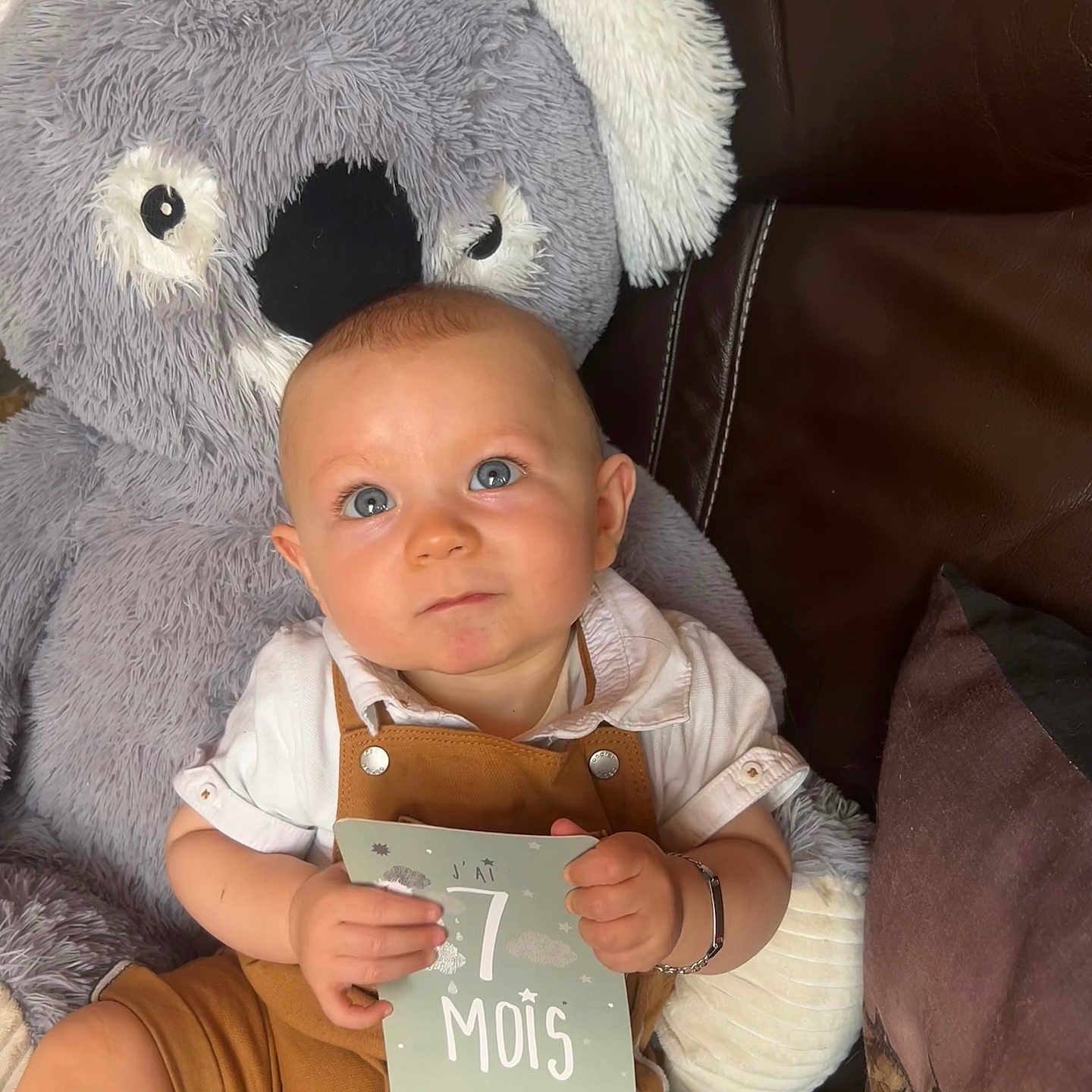 Maël participe au concours pour gagner de l'argent avec cette photo : baby, blue_eyes, card, child, clothing, couch, cozy, curious, cushion, holding, home, indoor, infant, koala, overalls, plush_toy, portrait, seated, soft_toy, white_shirt
