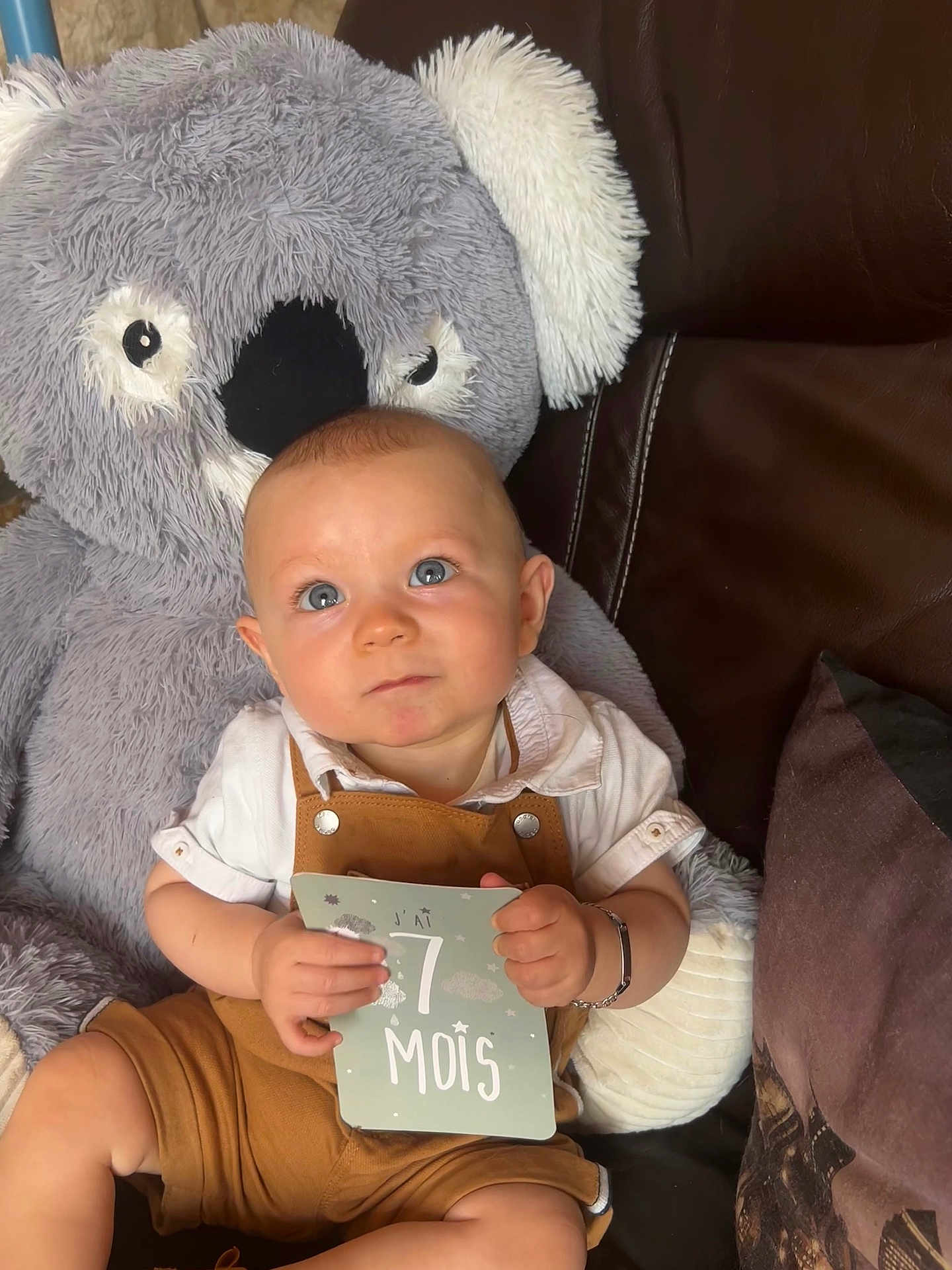 Maël participe au concours pour gagner de l'argent avec cette photo : baby, child, plush_toy, koala, couch, cushion, card, clothing, overalls, white_shirt, blue_eyes, indoor, soft_toy, home, seated, curious, infant, holding, cozy, portrait