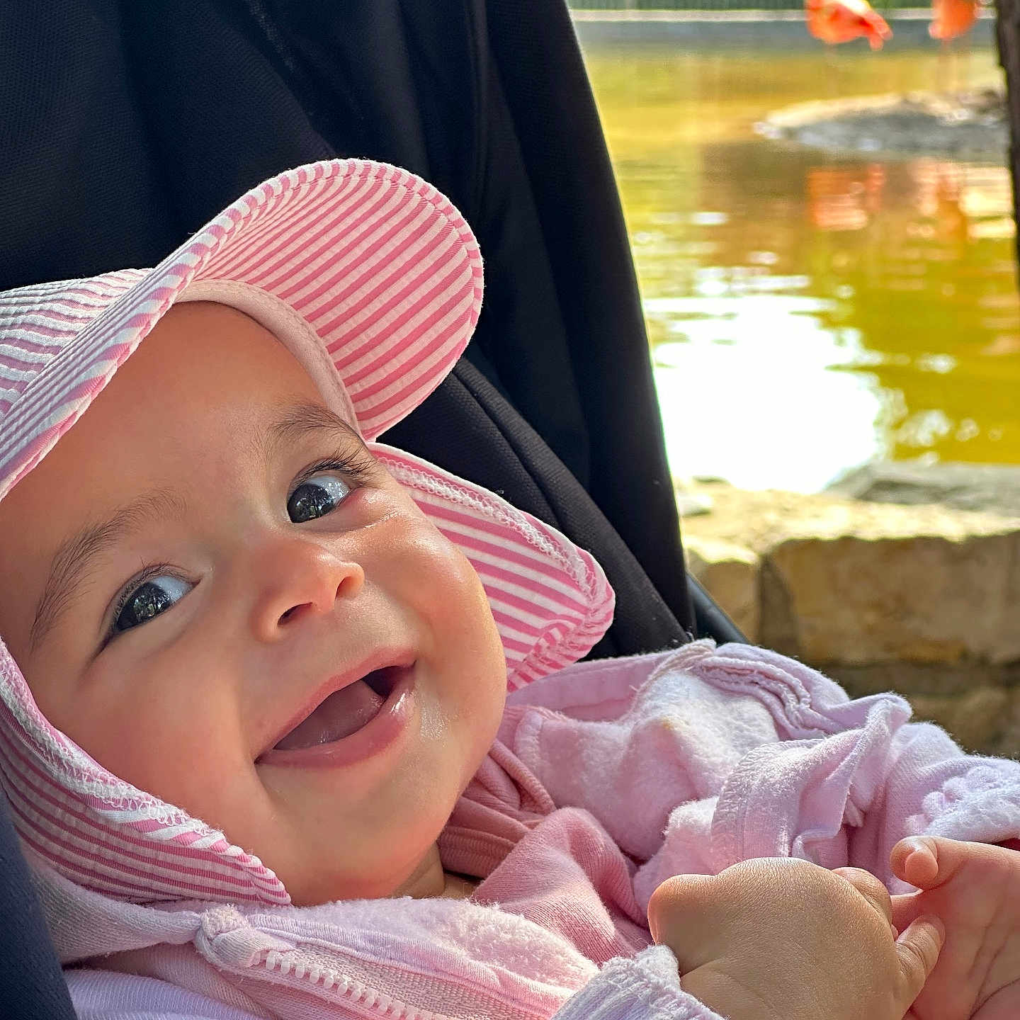 Inaya participe au concours pour gagner de l'argent avec cette photo : baby, child, pink_hat, pink_jacket, smiling, happy, outdoor, pond, water, flamingos, nature, sunlight, infant, face, portrait, hands, stroller, closeup, daylight, cute