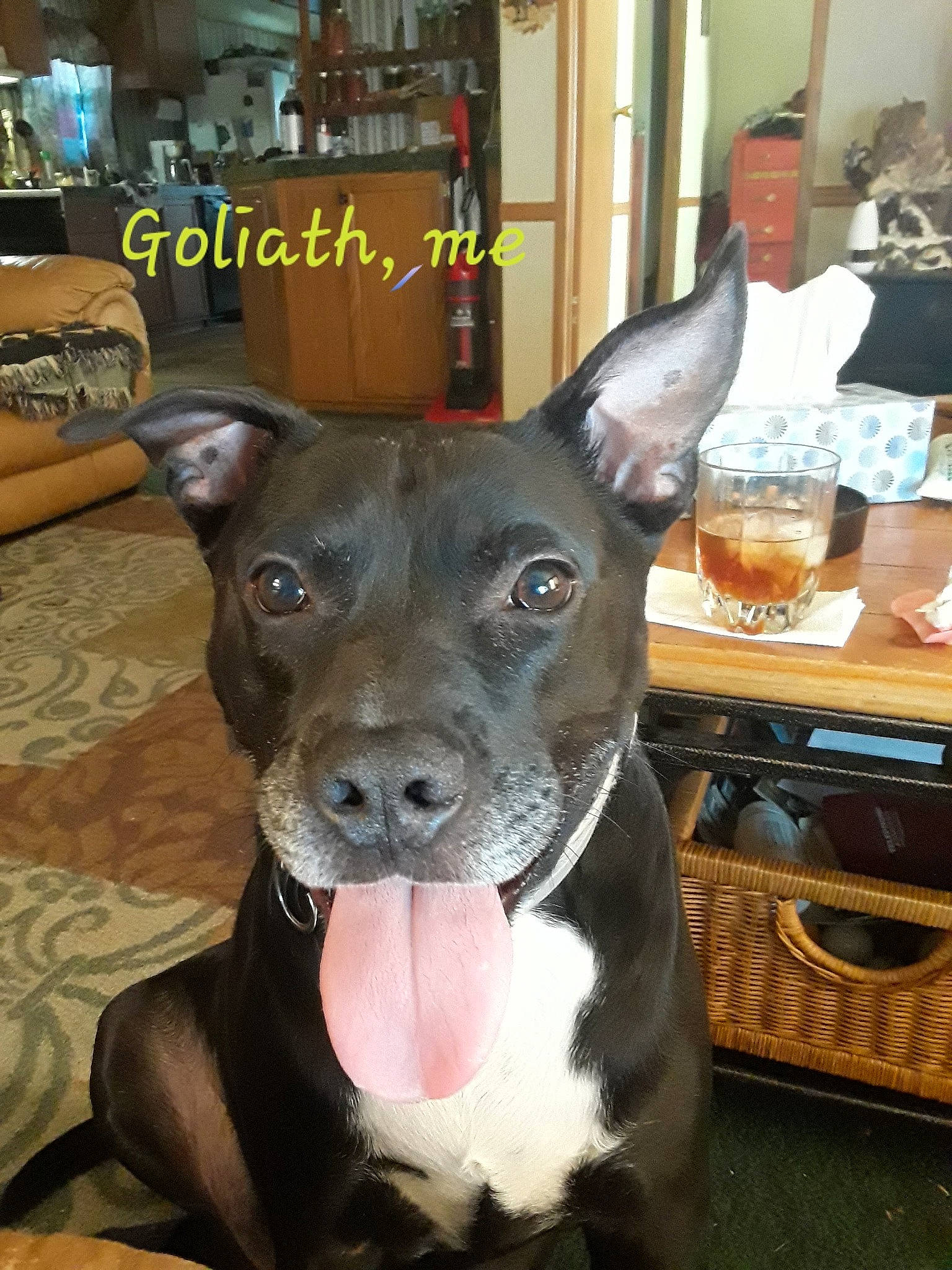 Goliath