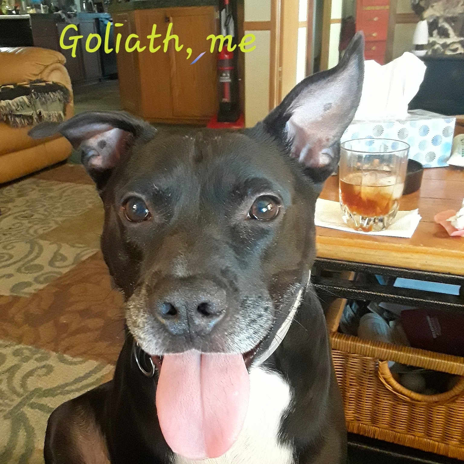 Goliath