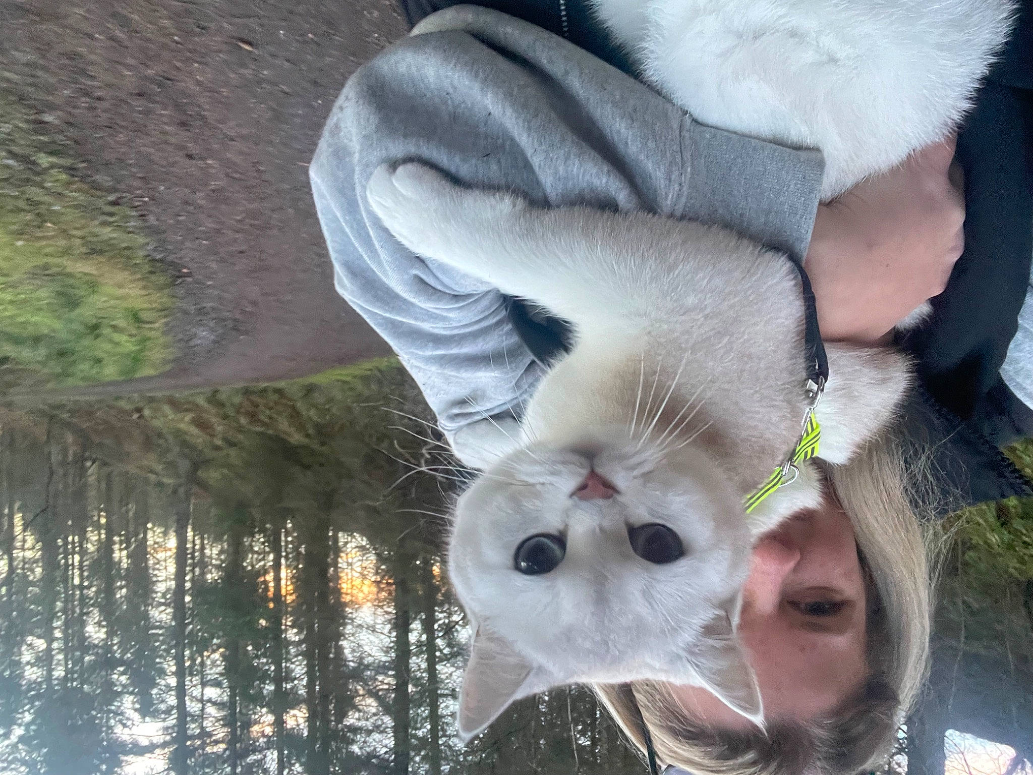 Giovanni joined the competition — help win amazing prizes! beard, branch, eyelash, eyewear, fawn, goggles, grass, hand, happy, human_body, jaw, leisure, plant, selfie, snout, sunglasses, tree, vision_care, whiskers, woody_plant