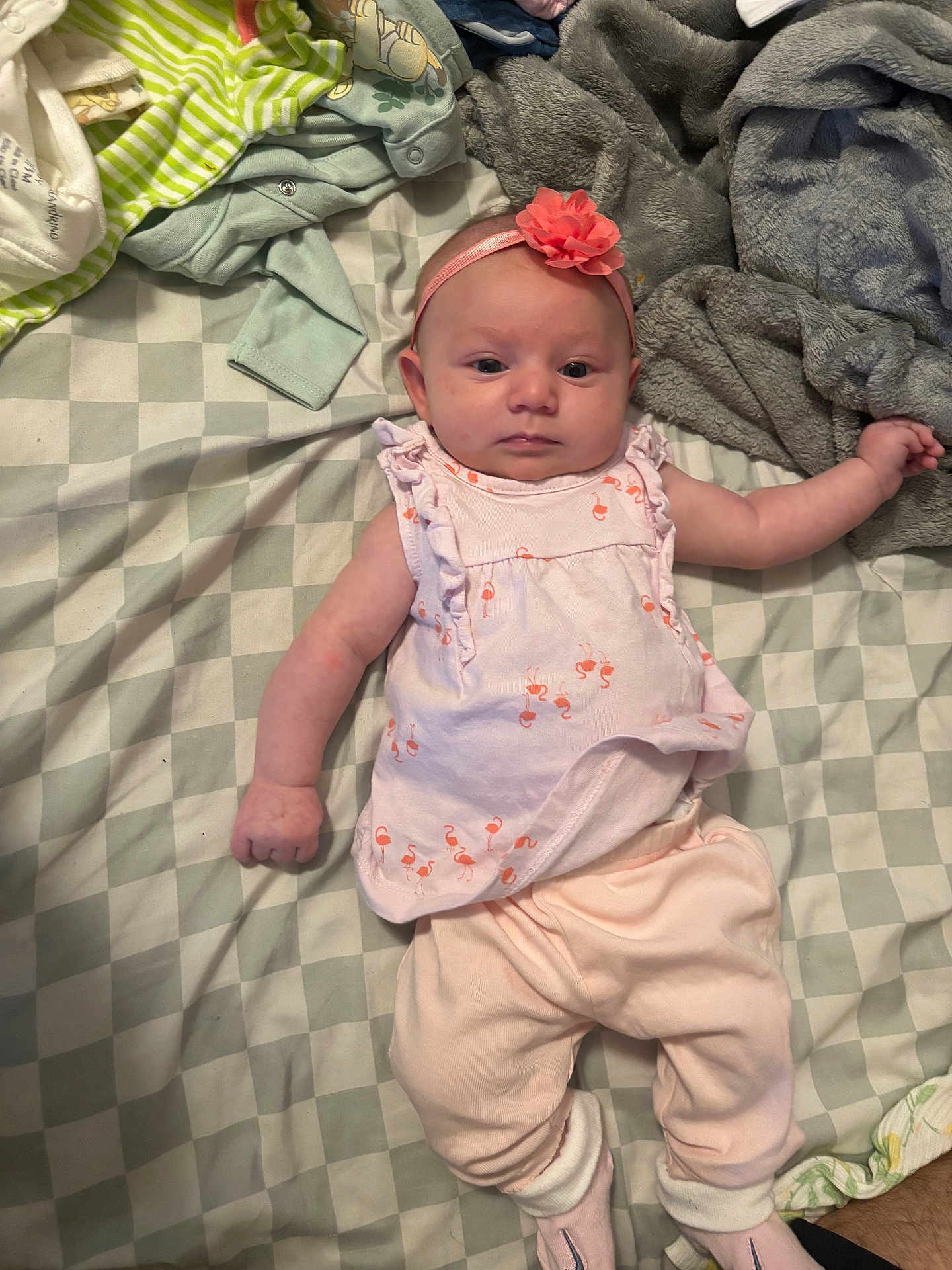 Gabriella is registered to the contest to win money with this photo: baby, infant, girl, clothing, headband, flower, blanket, bedspread, soft, pink, flamingo, sleepwear, lying_down, cute, child, indoors, fabric, comfort, person, newborn