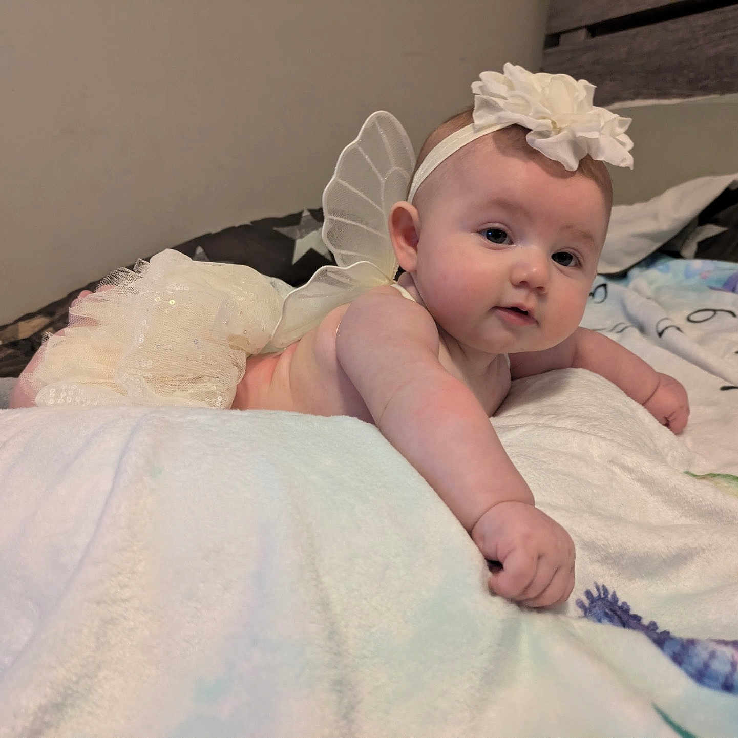 Gabriella joined the competition — help win amazing prizes! arm, baby, bed, blanket, child, cute, expression, eyes, face, fairy_costume, flower, hand, headband, indoor, infant, portrait, resting, skin, soft, wings