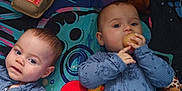 Ethan And Josh is registered to the contest to win money with this photo: baby, infant, child, blue_pajamas, toys, play_mat, floor, carpet, stuffed_animal, giraffe_toy, monkey_toy, egg_carton, lying_down, indoor, cute, two_children, people, face, hand, playing