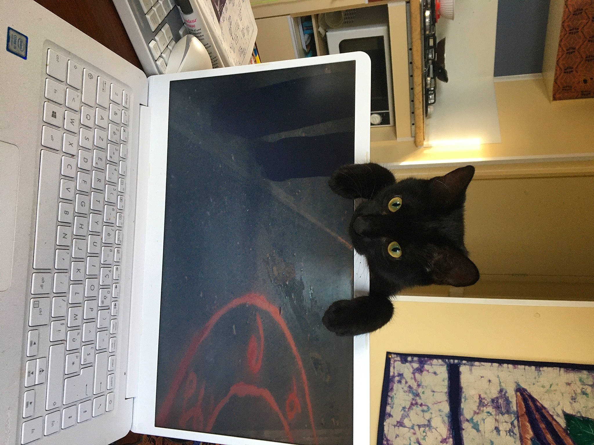 Gaïa participe au concours pour gagner de l'argent avec cette photo : art, black_cat, cat, felidae, picture_frame, room, small_to_medium_sized_cats, visual_arts