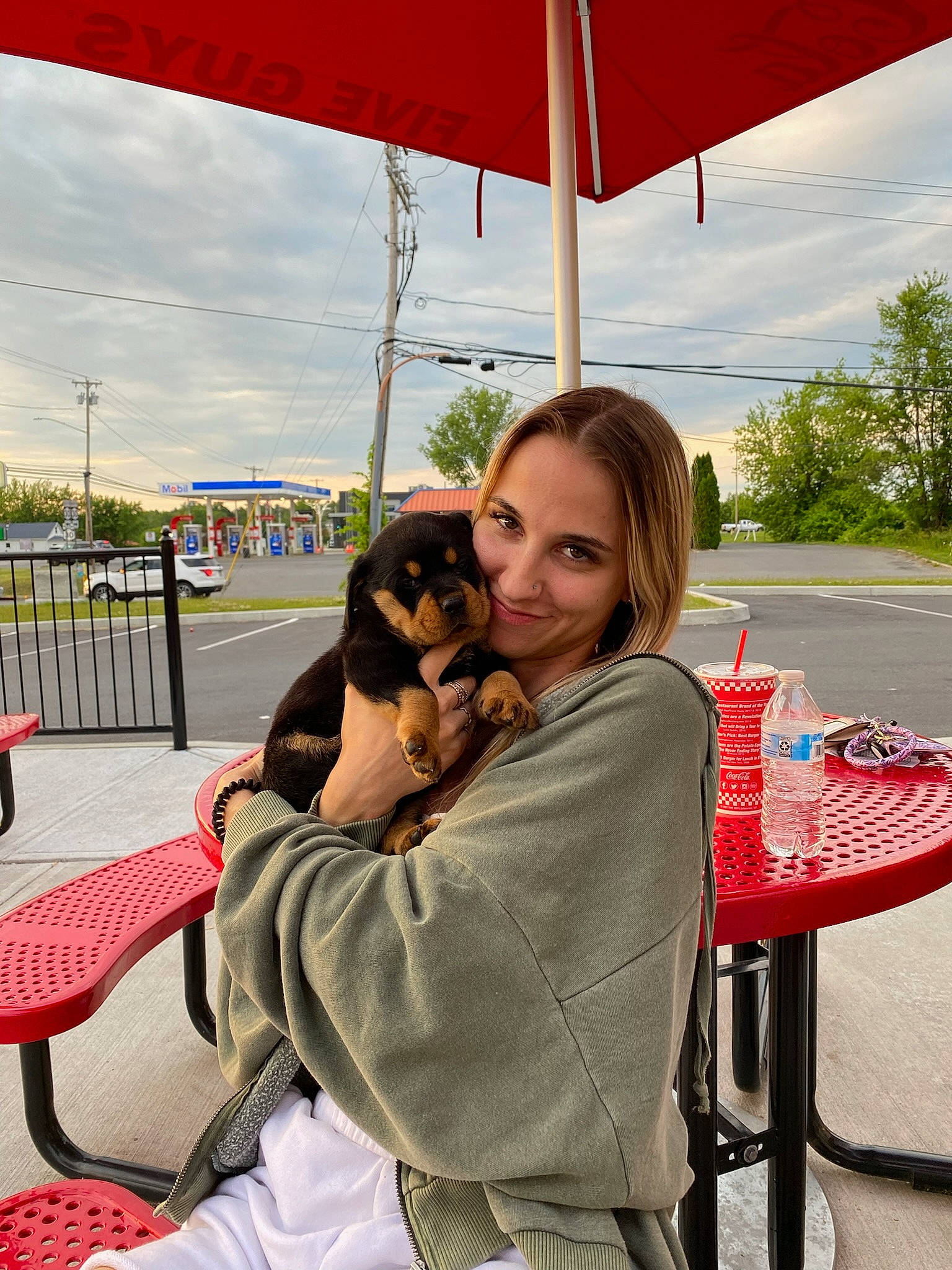 Luna is registered to the contest to win money with this photo: canidae, carnivore, chair, cloud, companion_dog, dog, dog_breed, fawn, fun, grass, leisure, recreation, shade, sitting, sky, smile, sporting_group, tourism, travel, tree