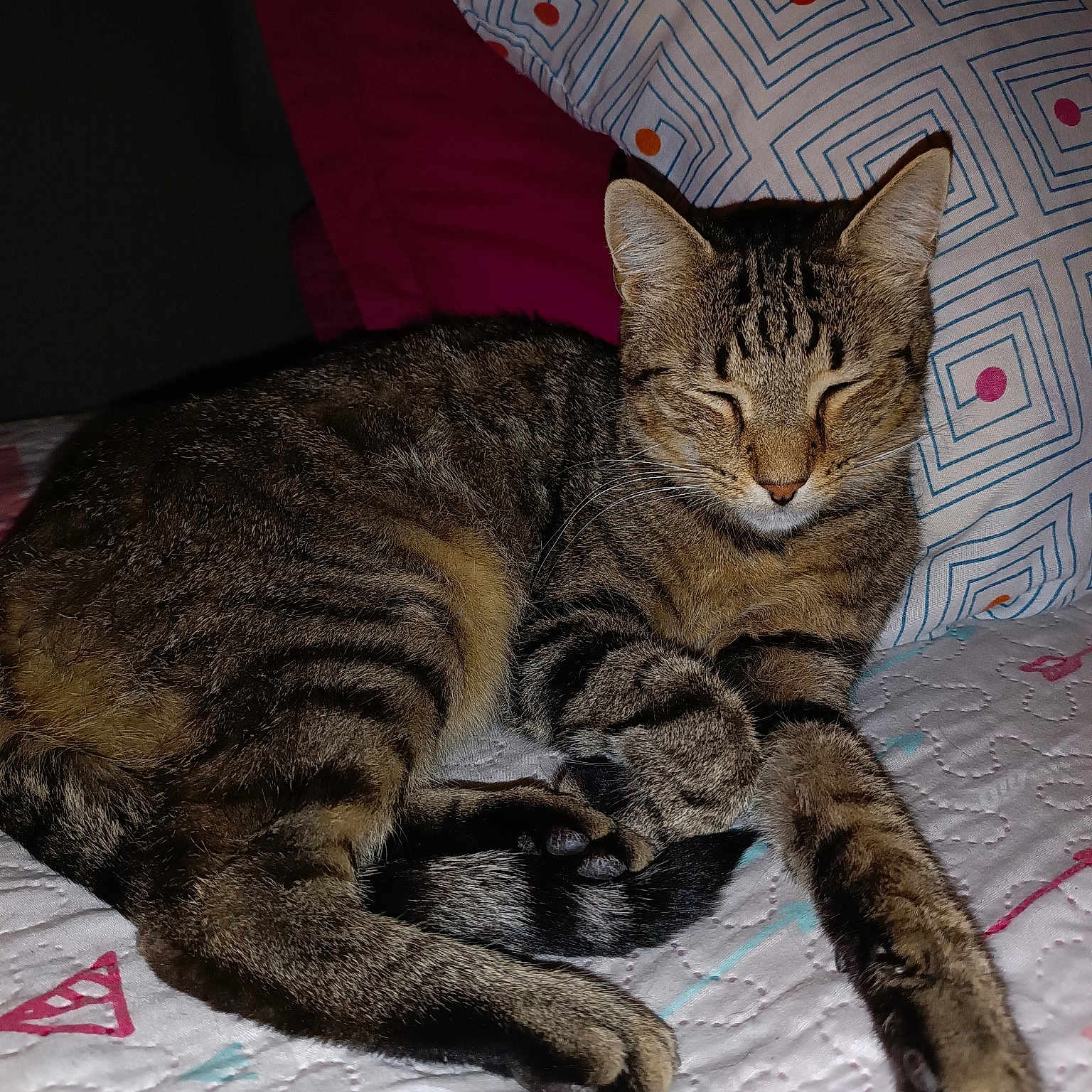 Mowgli
