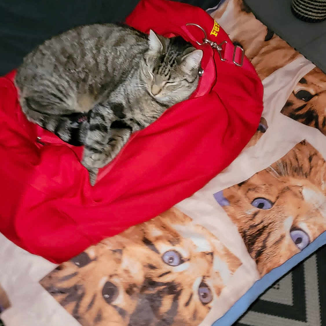 Mowgli