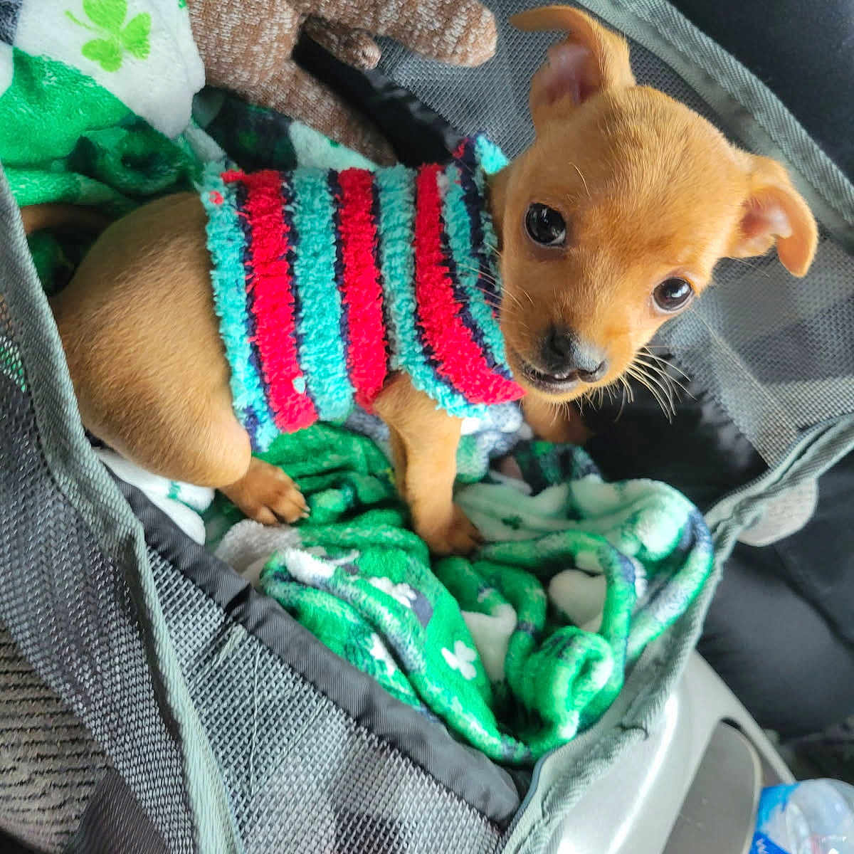 Sir Pockets Thesmall