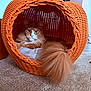 cat, orange_cat, fluffy_tail, wicker_basket, pumpkin_shape, carpet, indoor, pet_bed, cozy, relaxed, feline, animal, cute, resting, home, decor, soft_lighting, orange, white, fur