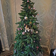 Cinnamon is registered to the contest to win money with this photo: cat, christmas_tree, kitten, decorations, ornaments, holiday, indoor, curious, calico, tree_skirt, floor, wallpaper, living_room, greenery, festive, pets, animal, cute, home, playful