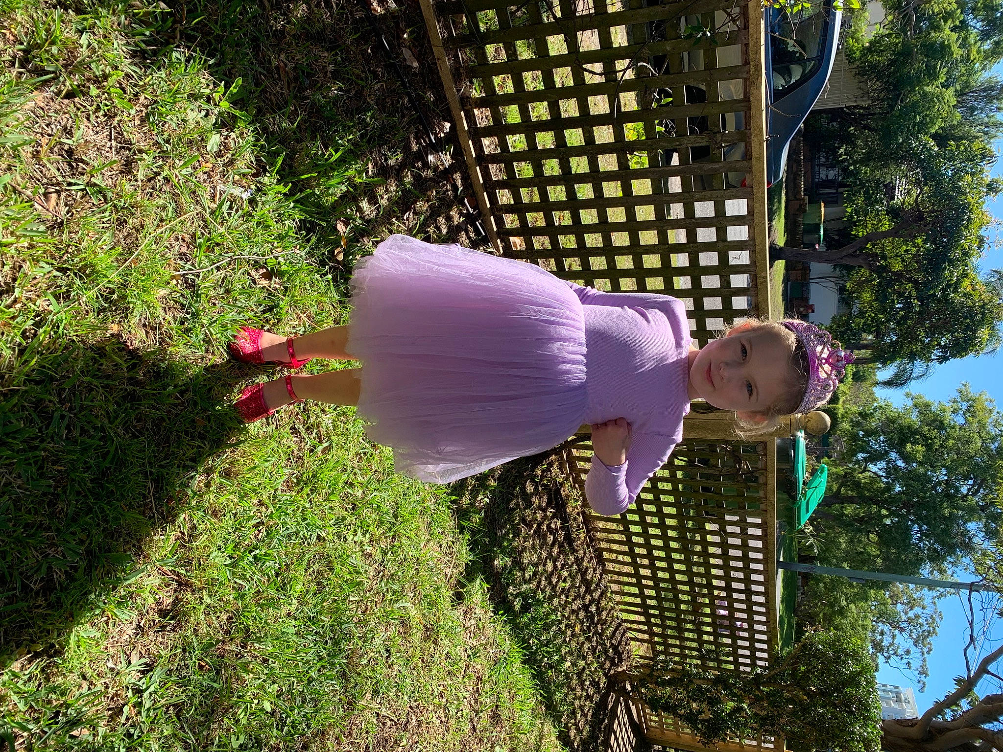 Autumn-rose joined the competition — help win amazing prizes! botany, flowering_plant, garden, gardening, grass, groundcover, lawn_ornament, leisure, magenta, people_in_nature, person, petal, plant, pole, shrub, sky, tree, woody_plant, yard