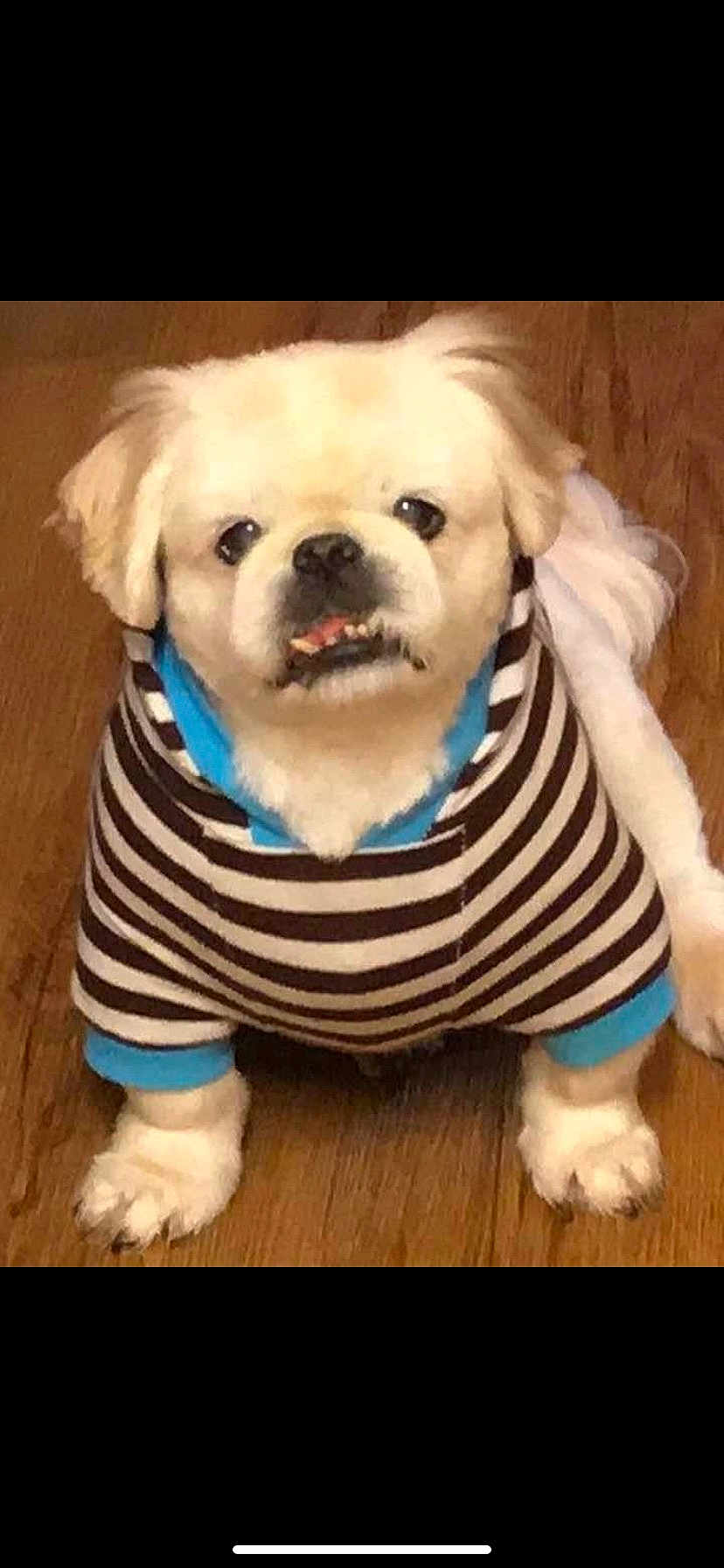 Pudge