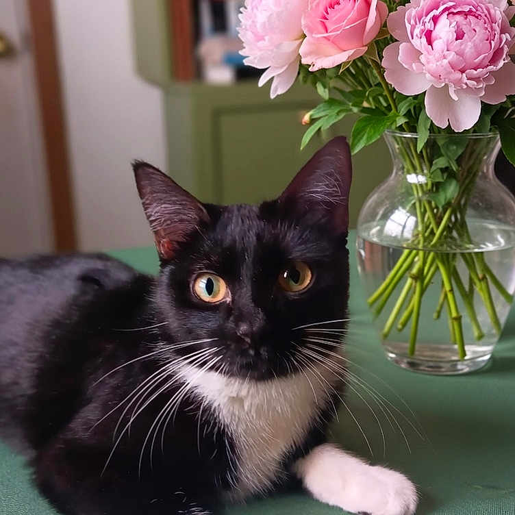 Esme