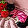 Esme