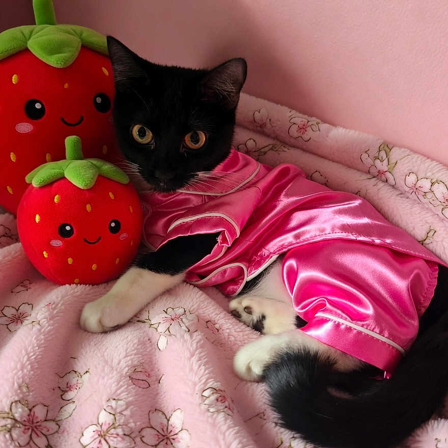 Esme
