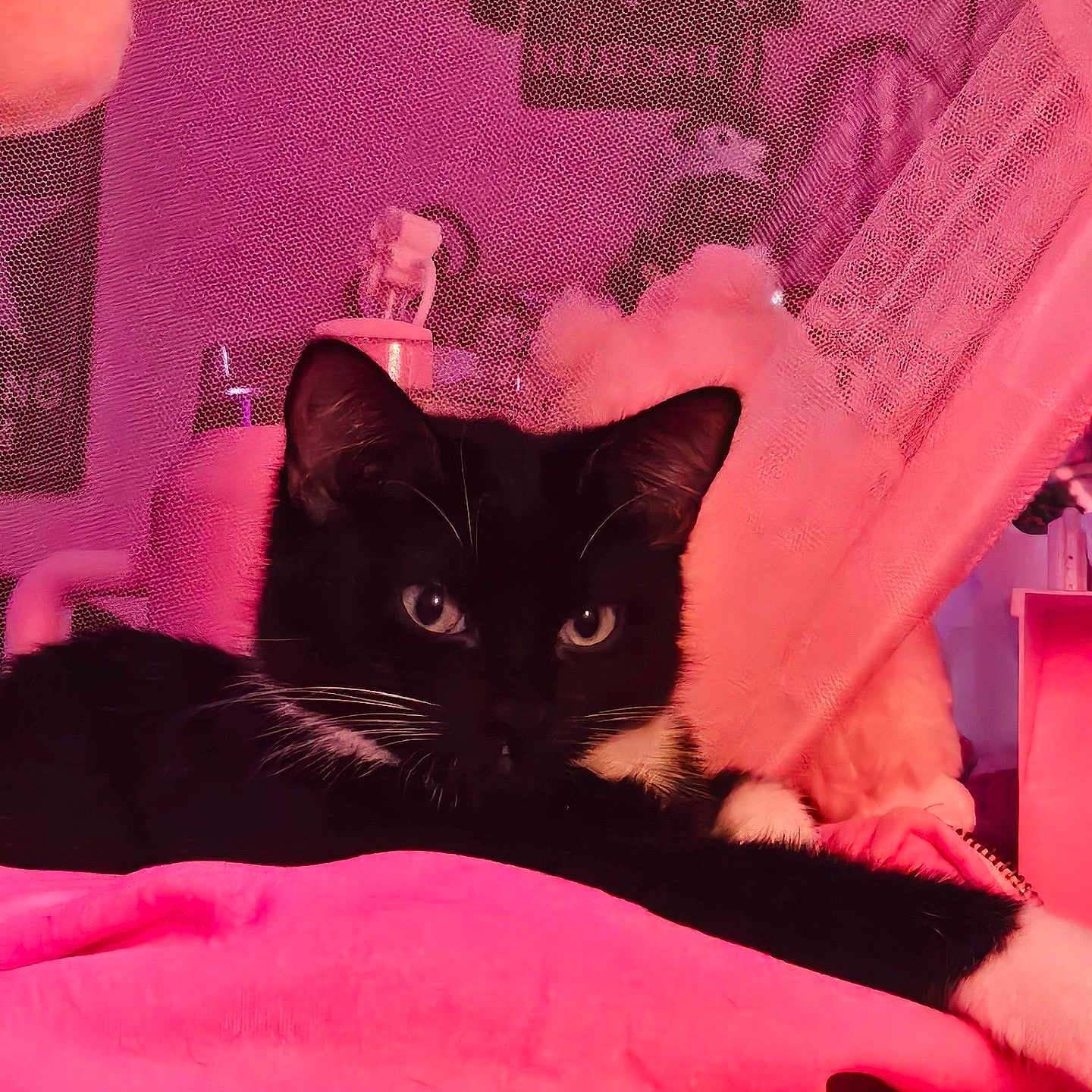 Esme