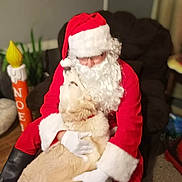 Molly is registered to the contest to win money with this photo: dog, person, santa_claus, red_clothing, white_beard, glasses, indoor, hugging, christmas, holiday, decor, chair, carpet, plant, festive, warmth, affection, gloves, costume, pet