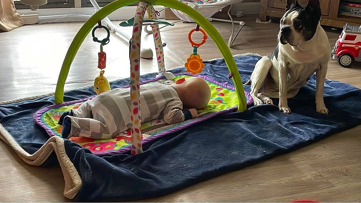 Jane joined the competition — help win amazing prizes! baby_products, backpack, bag, baggage, bed_sheet, bedding, camping, child, comfort, couch, event, grass, leisure, linens, luggage_and_bags, motor_vehicle, recreation, room, textile, throw_pillow