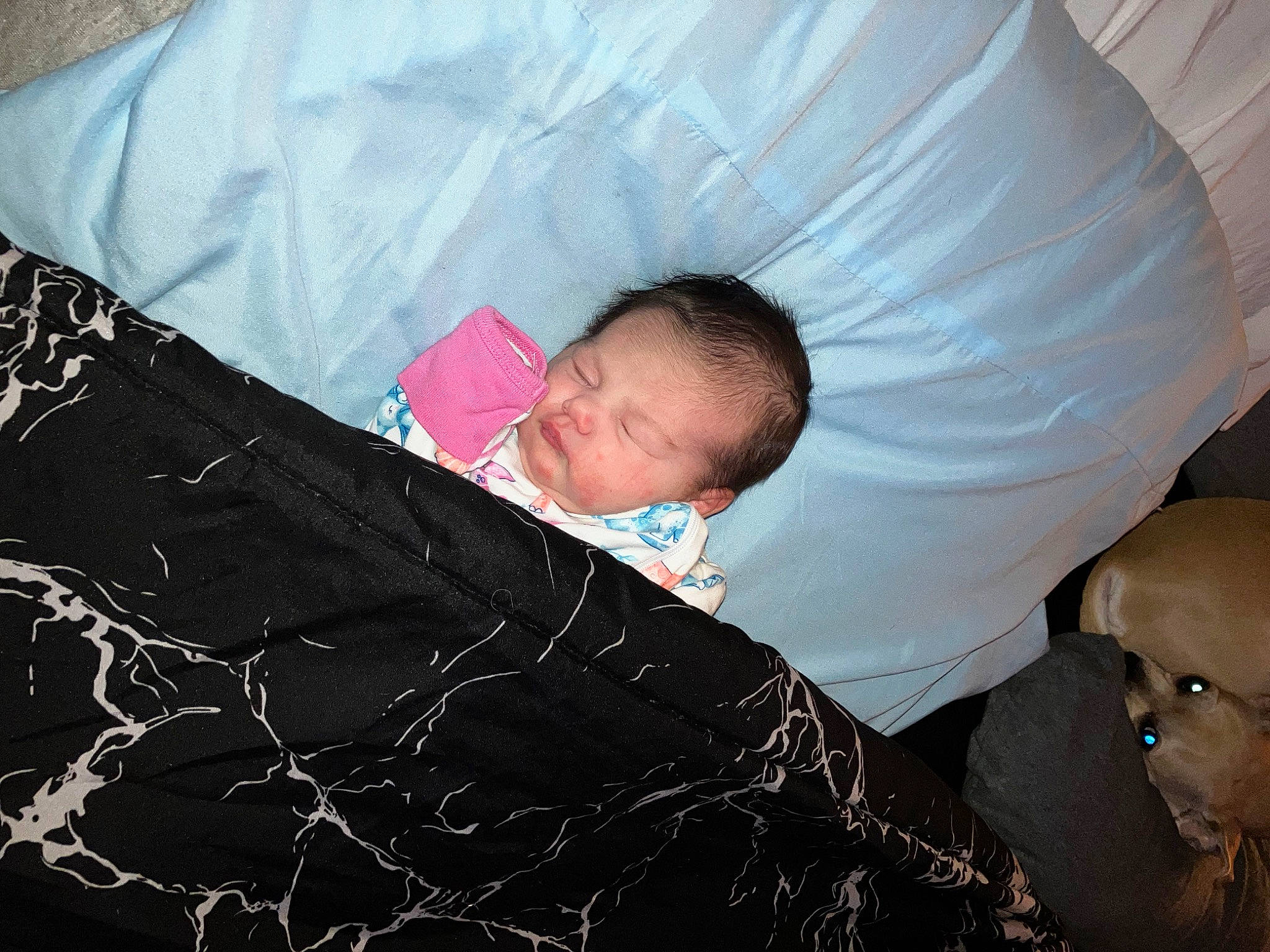 Avery is registered to the contest to win money with this photo: bedding, bedtime, child, comfort, fashion_accessory, fun, human, linens, nap, pattern, person, room, sitting, sleep, sleeve, sunglasses, tints_and_shades, toddler