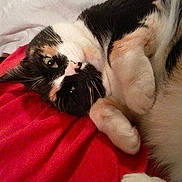 Kia joined the competition — help win amazing prizes!