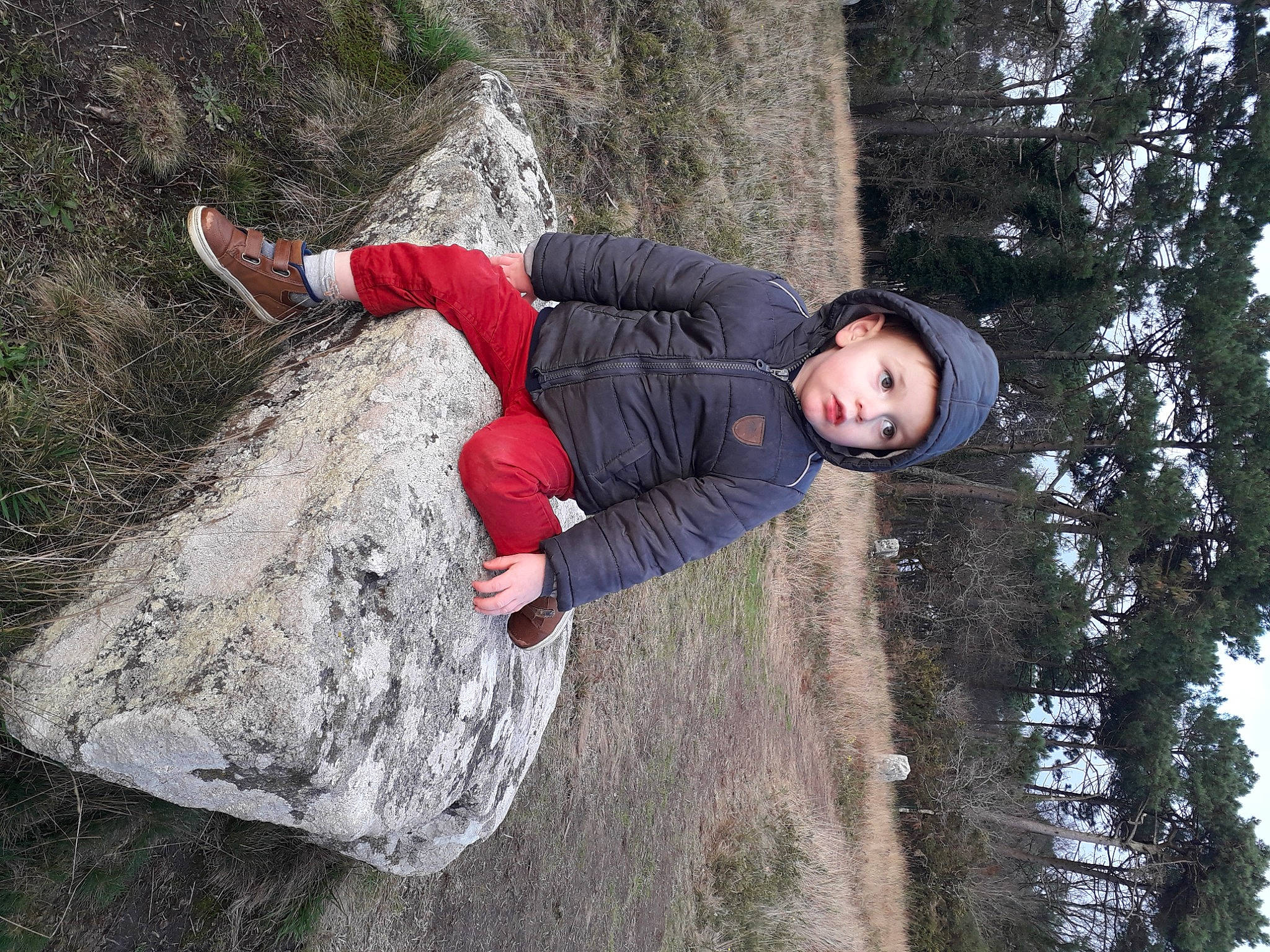 élouan a rejoint le concours — aidez-le/la à gagner de superbes lots ! adventure, bedrock, child, forest, fun, geology, grass, happy, headwear, leisure, outcrop, people_in_nature, person, plant, recreation, rock, soil, toddler, tree, trunk