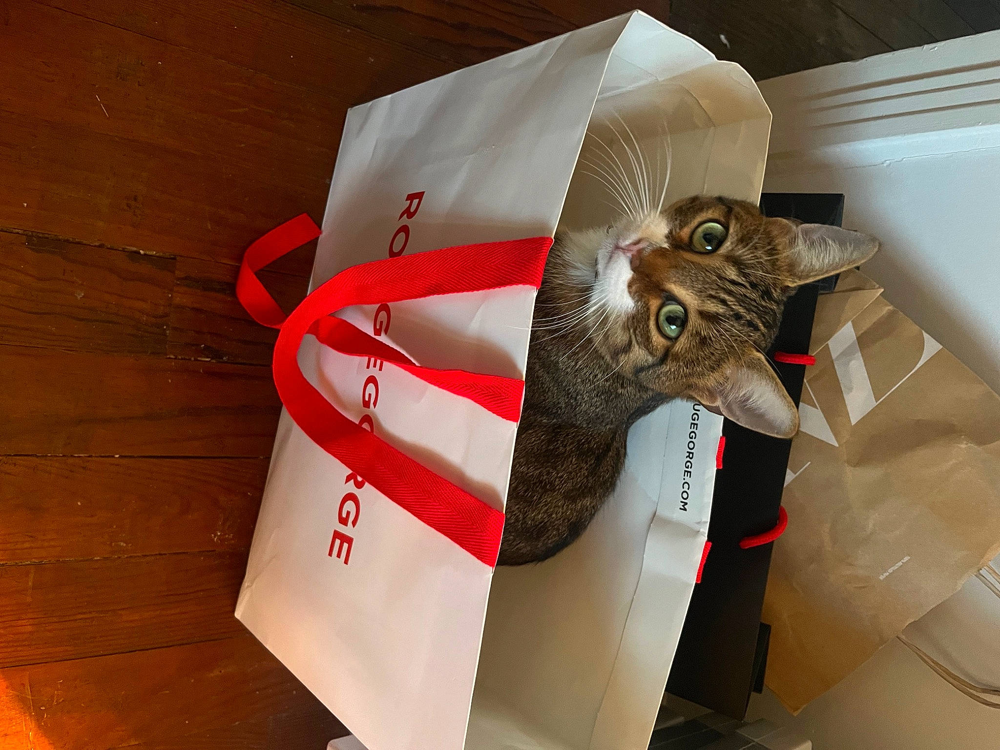 Hubert a rejoint le concours — aidez-le/la à gagner de superbes lots ! art, automotive_design, brand, carmine, craft, creative_arts, event, fashion_accessory, font, hardwood, paper, paper_product, ribbon, wood