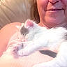 cat, close_up, comfort, cute, face, feline, fur, indoor, kitten, leather_chair, nap, person, pet, pink_top, relaxation, rest, skin, sleeping, smile, whiskers
