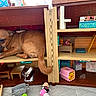 dog, dollhouse, toy, miniature_furniture, brown_dog, indoor, pet, small_dog, curled_up, floor, plastic_toy, table, bench, bed, pink_toy_carrier, mirror, living_room, childrens_toys, playful, house