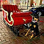 dog, doberman, sleigh, red, brick_pavement, night, street, holiday_decorations, wreath, shop_windows, car, collar, leash, urban, outdoor, pet, animal, festive, lighting, sidewalk