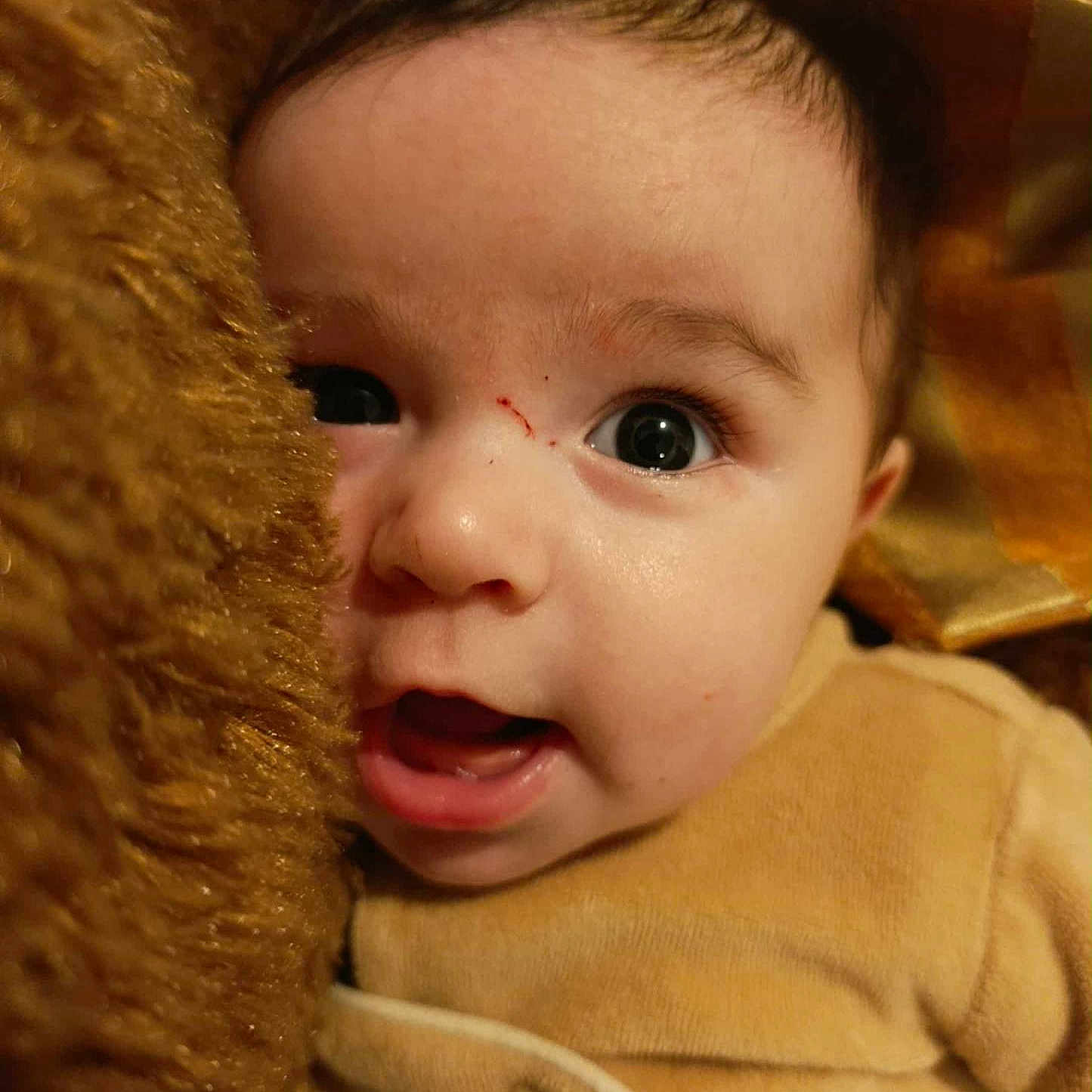 Gabriel participe au concours pour gagner de l'argent avec cette photo : baby, blanket, buttoned_clothing, child, close_up, clothing, curious, cute, expression, eyes, face, fuzzy, indoors, infant, mouth, newborn, portrait, skin, soft, warm_colors