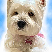 Gracie joined the competition — help win amazing prizes! animal, background, bone_tag, close_up, cute, digital_art, dog, ears, fluffy, illustration, light_effect, nose, pet, pink_collar, portrait, soft_colors, studio_style, texture, whiskers, white_fur