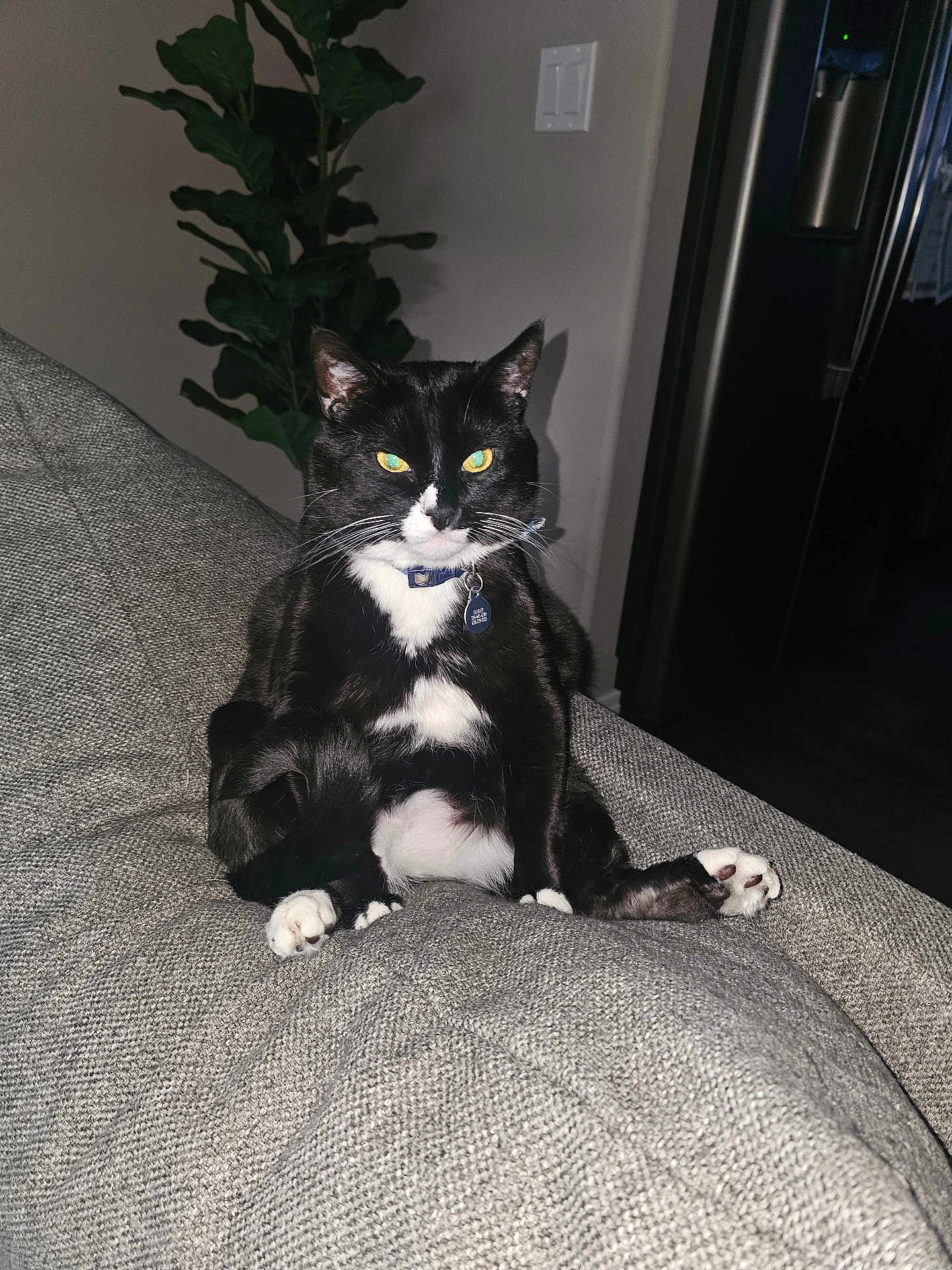 Sammy