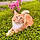 Marvin