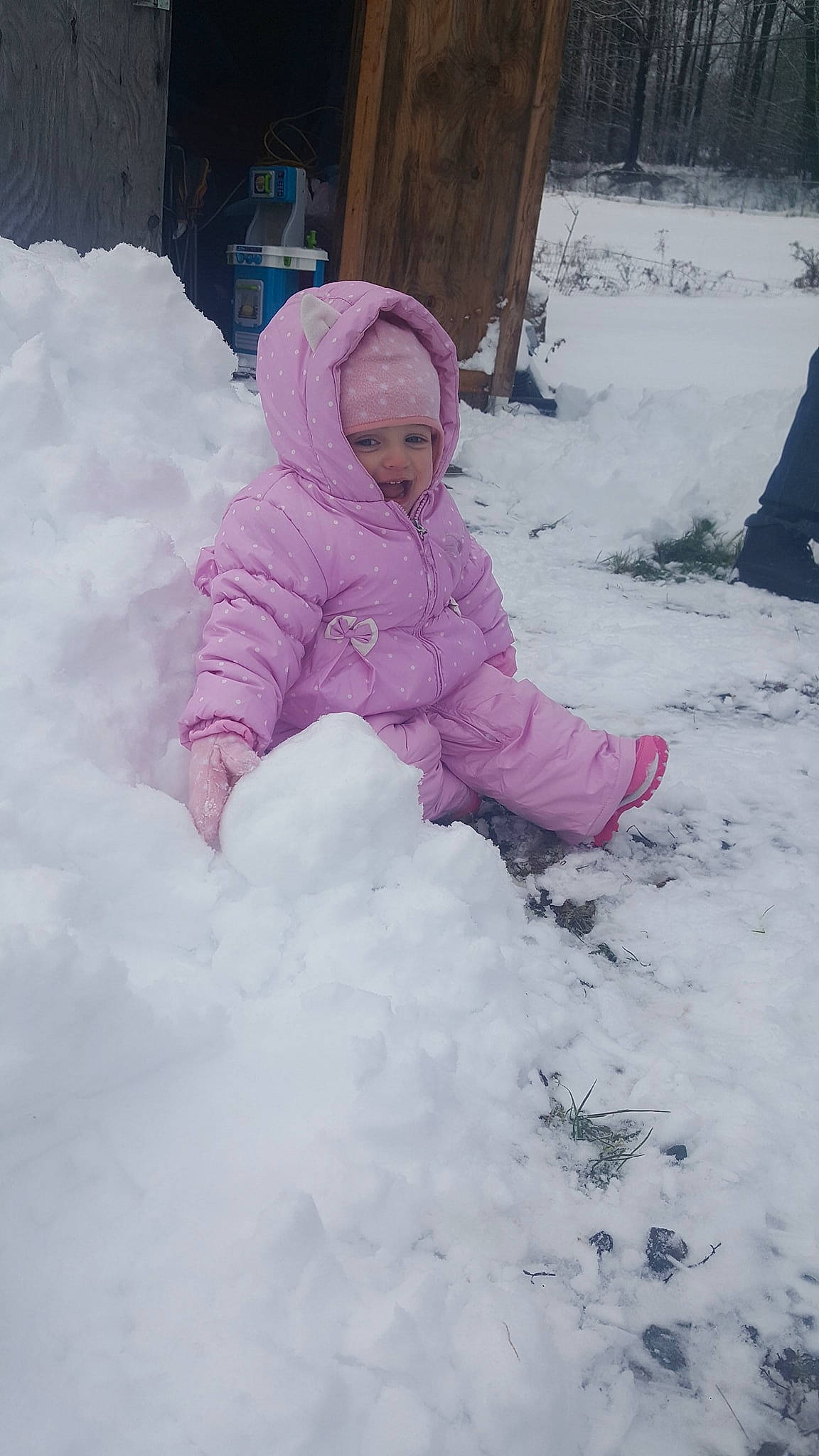 Adelyn joined the competition — help win amazing prizes! blizzard, child, freezing, fun, girl, ice, person, pink, precipitation, snow, snow_angel, vacation, winter, winter_storm