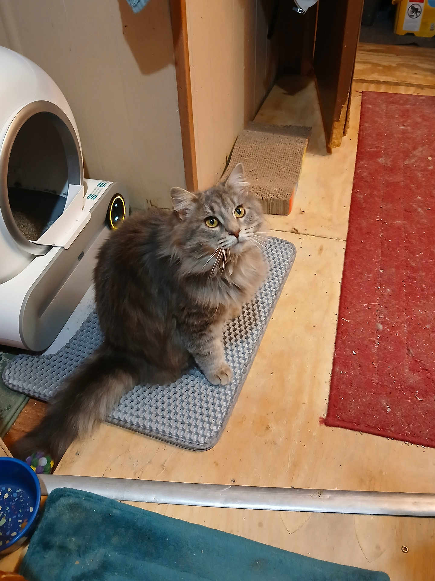 Fluffy