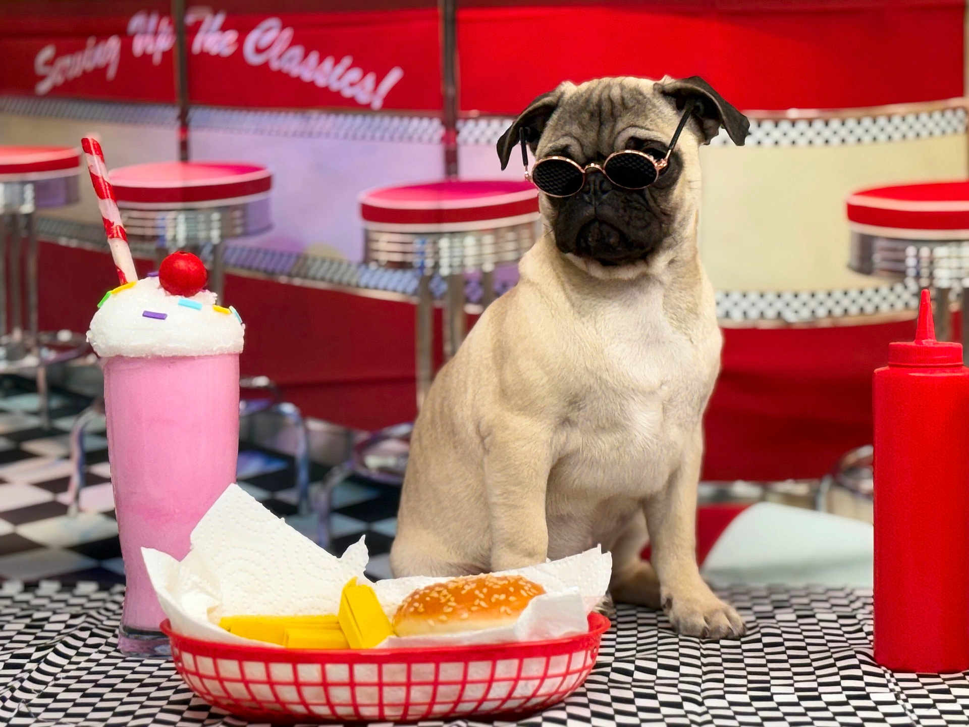Pedrito Ceviche is registered to the contest to win money with this photo: dog, pug, sunglasses, milkshake, burger, fries, ketchup_bottle, diner, table, basket, food, red, checkered_floor, stool, retro, vintage, whipped_cream, cherry, paper_napkin, indoor