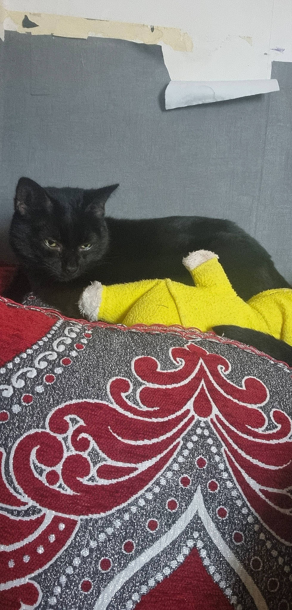 Sherkan participe au concours pour gagner de l'argent avec cette photo : art, bed_sheet, bedding, black_cat, bombay, carnivore, cat, comfort, domestic_short_haired_cat, felidae, floor, flooring, fur, grey, linens, magenta, pattern, small_to_medium_sized_cats, tail, whiskers