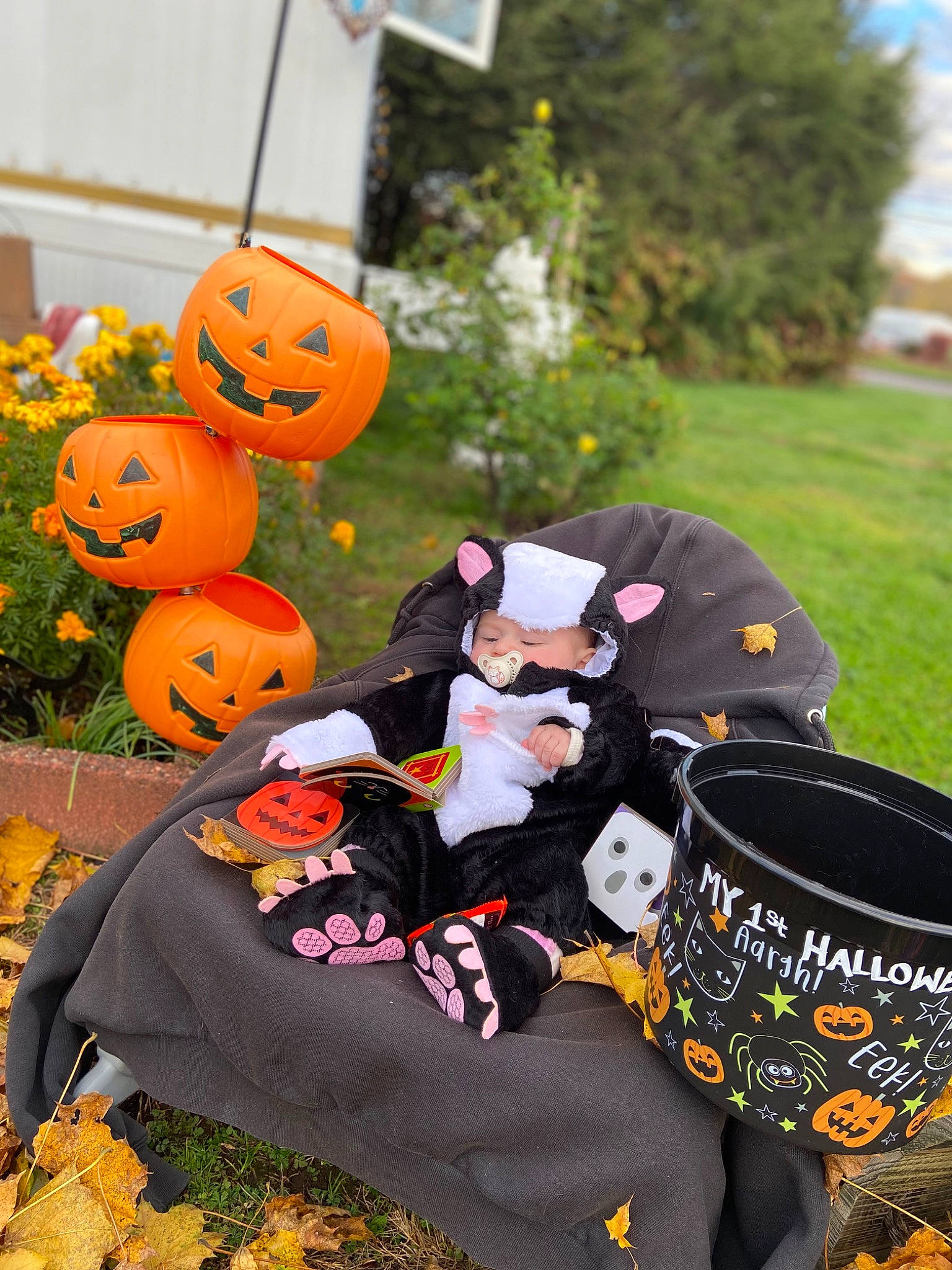 Alexandra is registered to the contest to win money with this photo: art, calabaza, cucurbita, drum, event, fun, gourd, grass, headwear, jack_o_lantern, leaf, leisure, orange, person, plant, pumpkin, recreation, tradition, tree, trick_or_treat